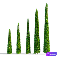 Thuja occidentalis clipped cone | Thuja occidentalis 3D Model Vray, Corona