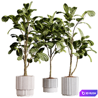 indoor plants 93- plant collections in pot 3D Model Vray, Corona