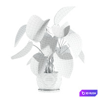 Set31 indoor plant 3D Model Vray