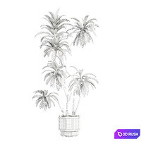 Set44 indoor plant 3D Model Vray