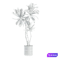 Set46 indoor plant 3D Model Vray
