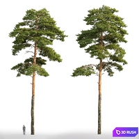 thumb image