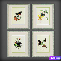 Pictures144 3D Model Vray