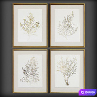 Pictures155 3D Model Vray