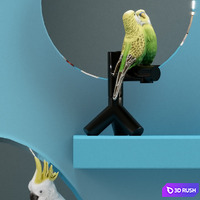 A set of mirrors "The Parrot Party" 3D Model Vray