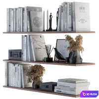 Decorative Set on Shelves White book and Dried Plants 3D Model Vray, Corona