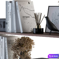 Decorative Set on Shelves White book and Dried Plants 3D Model Vray, Corona
