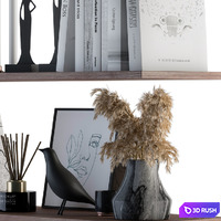 Decorative Set on Shelves White book and Dried Plants 3D Model Vray, Corona