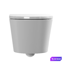Wall hung toilet AM.PM Sense 3D Model Corona