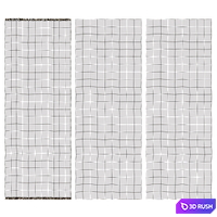 RUNNER RUG SET 2 3D Model Corona