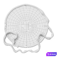 MIRROR FLOW 3D Model Corona