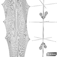 Flos Fantasma Floor 3D Model Corona