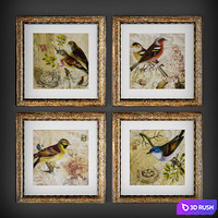 The collection of paintings "Birds" №2 3D Model Vray
