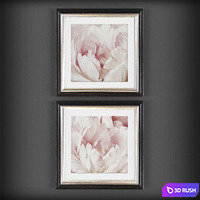 Pictures375 3D Model Vray
