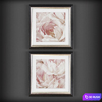Pictures375 3D Model Vray