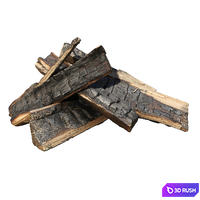 Bonfire 3D Model Vray