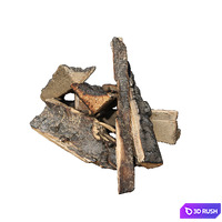 Bonfire 3D Model Vray