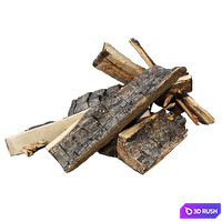 Bonfire 3D Model Vray