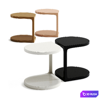 Coot by Tacchini Side Table 3D Model Vray, Corona