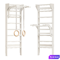 Modern style wall bars with gymnastic rings 3D Model Corona