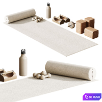 Yoga Studio 3D Model Corona