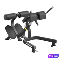 Magnum Back Extension Bench 3D Model Vray, Corona