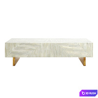 Anthropologie Savi Striped Inlay Coffee Table 3D Model Corona