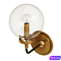 RH bistro globe clear glass single sconce 3D Model Corona