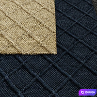 Braided Diamante Outdoor Rug RH Collection 3D Model Vray