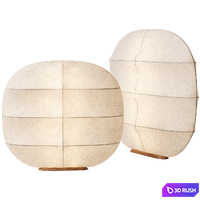 Gunta Floor Lamp / Tacchini 3D Model Vray, Corona