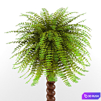 Plant 3D Model Vray