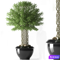 PLANTS 33 3D Model Vray