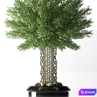 PLANTS 33 3D Model Vray