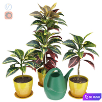 Croton 3D Model Vray, Corona