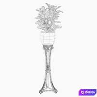 art. 286 RG \ Ficus lyrata 3D Model Vray