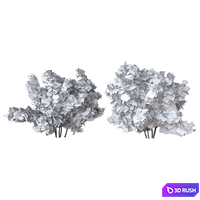 Two bush 3D Model Corona