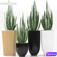 PLANTS 103 3D Model Vray