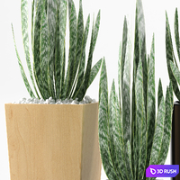 PLANTS 103 3D Model Vray