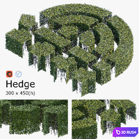 Hedge 3x4.5 3D Model Vray, Corona
