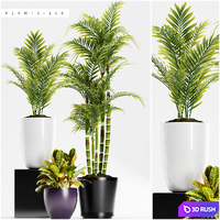 PLANTS 158 3D Model Vray