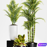 PLANTS 158 3D Model Vray