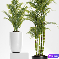 PLANTS 158 3D Model Vray