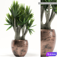 PLANTS 161 3D Model Vray