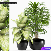 PLANTS 162 3D Model Vray