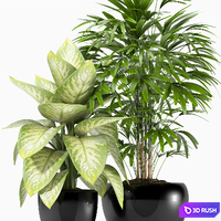 PLANTS 162 3D Model Vray