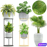 Collection of plants. Flower shelf, flower stand, palm tree, bromeliad, ficus, bushes, pot, flowerpot, indoor plants 3D Model Vray