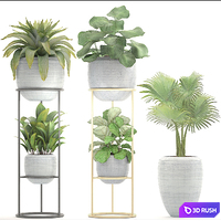 Collection of plants. Flower shelf, flower stand, palm tree, bromeliad, ficus, bushes, pot, flowerpot, indoor plants 3D Model Vray