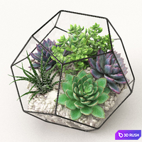 Florarium (Competition) 3D Model Vray, Corona