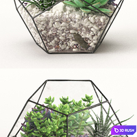 Florarium (Competition) 3D Model Vray, Corona