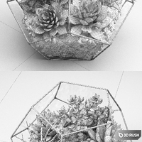 Florarium (Competition) 3D Model Vray, Corona